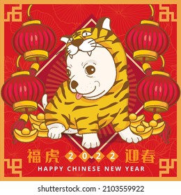 Cute chihuahua dog wearing tiger costume with money and Red Lantern to celebrate Chinese New Year, Chinese word translation :Lucky Tiger welcomes the Spring