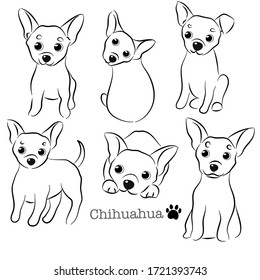 Cute Chihuahua Doodle Collection in Different Poses in Free Hand Drawing Vector Illustration Style.