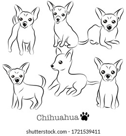 Cute Chihuahua Doodle Collection in Different Poses in Free Hand Drawing Vector Illustration Style.