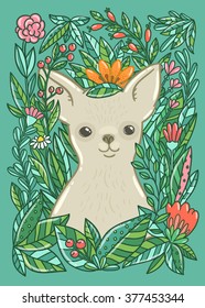 cute chihuahua in the flowers