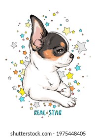 Cute chihuahua portrait on a background of stars. Real star illustration. Image for printing on any surface	