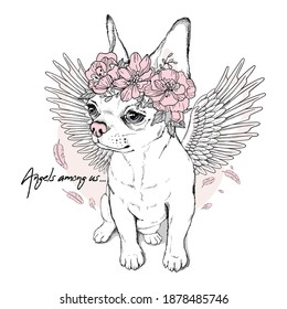 Cute chihuahua puppy with angel wings. Dog in flower wreath. Angels among us illustration. Stylish image for printing on any surface	