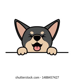 Cute chihuahua puppy black and brown color paws up wall, vector illustration