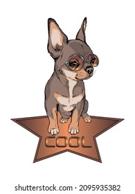 Cute chihuahua puppy in sunglasses. Vector illustration in hand-drawn style . Image for printing on any surface	