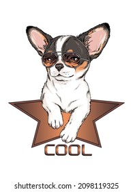 Cute chihuahua puppy in sunglasses. Vector illustration in hand-drawn style . Image for printing on any surface