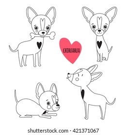 Cute chihuahua set in different poses in outline black and white style. Vector illustration of dog for decoration, design logotype, leaflet, catalog, pet shops, veterinary clinics