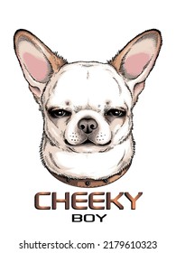 Cute chihuahua sketch.Portrait of a dog made in hand drawn style. Cheeky boy