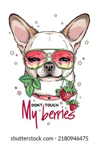 Cute chihuahua with a sprig of strawberries. Don't touch my berries illustration. Stylish image for printing on any surface
