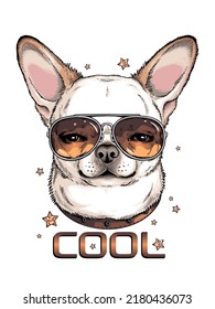 Cute chihuahua in sunglasses. Vector illustration in hand-drawn style . Image for printing on any surface