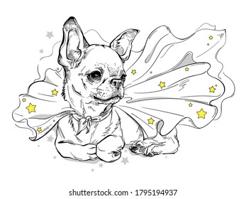 Cute chihuahua in a superhero cape. A dog in a cape with stars. Stylish image for printing on any surface