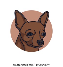 Cute Chihuahua vector illustration On Isolated Background
