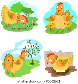 Cute chiken set, vector illustration