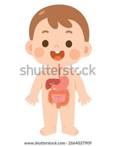 Cute Child Digestive System Anatomy Illustration – Educational Cartoon Vector
