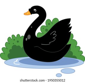 Cute childish black swan character in  cartoon style vector drawing. Pond, lake with green bushes on a background and drops of water. Book illustration.