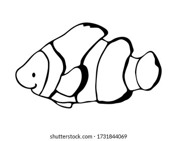 Cute childish cartoon black outline sea clown fish isolated on a white background. Underwater creature vector illustration.