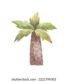 Cute Childish Clipart With Palms, Coconut Tree, Nature