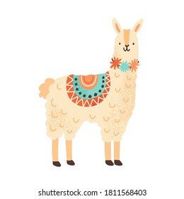 Cute childish lama character. Adorable funny alpaca in simple scandinavian style. Flat vector cartoon textured illustration of fluffy llama. Animal toy isolated on white background