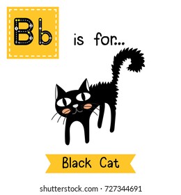 Cute children ABC alphabet B letter tracing flashcard of Black Cat for kids learning English vocabulary in Happy Halloween Day theme. Vector illustration.