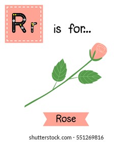 Cute children ABC alphabet R letter tracing flashcard of Rose for kids learning English vocabulary in Valentines Day theme.