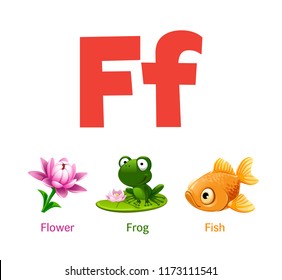 Cute children ABC animal alphabet flashcard words with the letter F for kids learning English vocabulary.