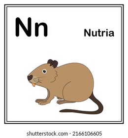 Cute children ABC animal alphabet N letter flashcard of Nutria for kids learning English vocabulary.