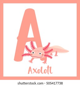 Cute children ABC animal alphabet A letter flashcard of Axolotl for kids learning English vocabulary.