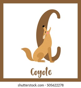 Cute Children ABC Animal Alphabet C Letter Flashcard Of Howling Coyote For Kids Learning English Vocabulary.   