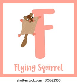 Cute children ABC animal alphabet F letter flashcard of Flying Squirrel for kids learning English vocabulary.    