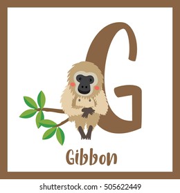 Cute children ABC animal alphabet G letter flashcard of Gibbon for kids learning English vocabulary.