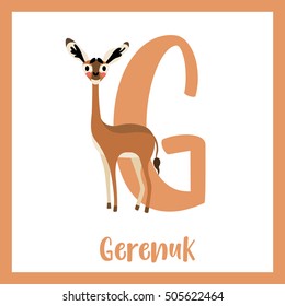 Cute children ABC animal alphabet G letter flashcard of standing Gerenuk for kids learning English vocabulary.  