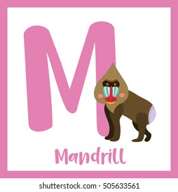 Cute children ABC animal alphabet M letter flashcard of Mandrill for kids learning English vocabulary.    