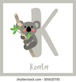 Cute children ABC animal alphabet K letter flashcard of Koala bear climbing tree for kids learning English vocabulary.    