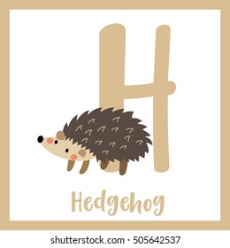 Cute children ABC animal alphabet H letter flashcard of Hedgehog for kids learning English vocabulary.    