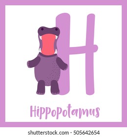 Cute children ABC animal alphabet H letter flashcard of Hippopotamus standing and opening mouth for kids learning English vocabulary.    