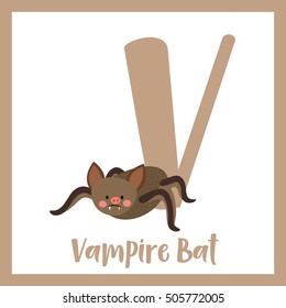 Cute children ABC animal alphabet V letter flashcard of Vampire Bat for kids learning English vocabulary.    