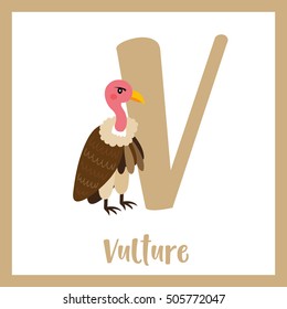 Cute children ABC animal alphabet V letter flashcard of standing Vulture bird for kids learning English vocabulary.   