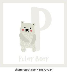 Cute children ABC animal alphabet P letter flashcard of Polar Bear standing on two legs for kids learning English vocabulary.   
