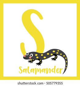 Cute children ABC animal alphabet S letter flashcard of Salamander for kids learning English vocabulary.   