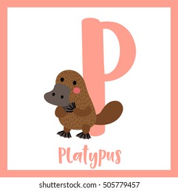Cute children ABC animal alphabet P letter flashcard of standing Platypus for kids learning English vocabulary.   