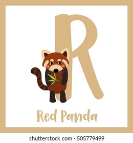 Cute children ABC animal alphabet R letter flashcard of standing red Panda with bamboo for kids learning English vocabulary.   