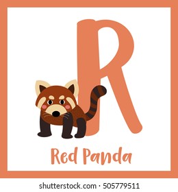 Cute children ABC animal alphabet R letter flashcard of red Panda for kids learning English vocabulary.   