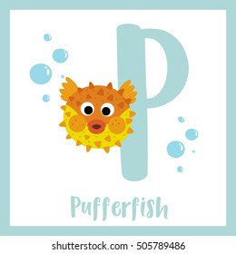 Cute children ABC animal alphabet P letter flashcard of Pufferfish for kids learning English vocabulary.    