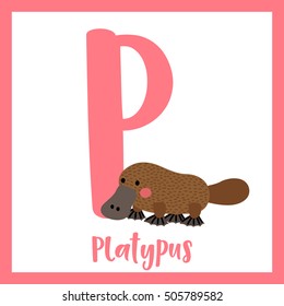 Cute children ABC animal alphabet P letter flashcard of Platypus for kids learning English vocabulary.    