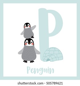 Cute children ABC animal alphabet P letter flashcard of funny Penguin and igloo for kids learning English vocabulary.   