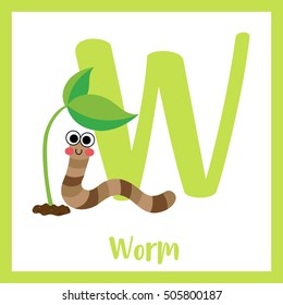 Cute children ABC animal alphabet W letter flashcard of happy Worm crawling under the sprout for kids learning English vocabulary.   