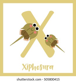 Cute children ABC animal alphabet X letter flashcard of Xiphosura or Horseshoe Crab for kids learning English vocabulary.    