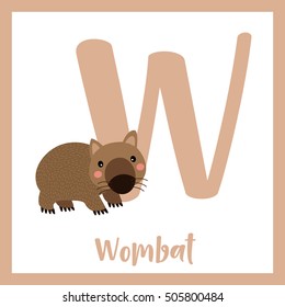 Cute children ABC animal alphabet W letter flashcard of happy Wombat for kids learning English vocabulary.   
