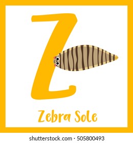 Cute children ABC animal alphabet Z letter flashcard of Zebra Sole for kids learning English vocabulary.   