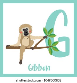 Cute children ABC animal zoo alphabet G letter flashcard of Gibbon sitting on branch for kids learning English vocabulary. Vector illustration.