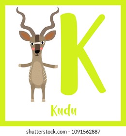 Cute children ABC animal zoo alphabet K letter flashcard of Kudu standing on two legs for kids learning English vocabulary. Vector illustration.